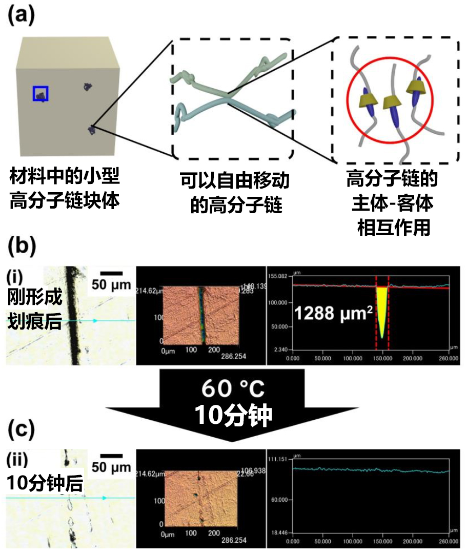 大阪大学开发新型有机半导体 有助于大幅提升有机太阳能电池的效率大阪大学开发新型有机半导体 有助于大幅提升有机太阳能电池的效率