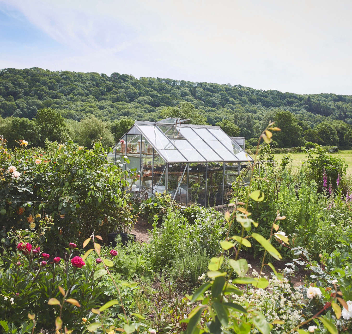 Seeds | 人形机器人公司Apptronik获5.2亿美元融资,谷歌、奔驰参投