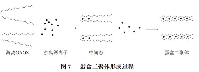 弗吉尼亚理工大学提出水凝胶膨胀微观现象 以实现更快、更灵活的机器人弗吉尼亚理工大学提出水凝胶膨胀微观现象 以实现更快、更灵活的机器人