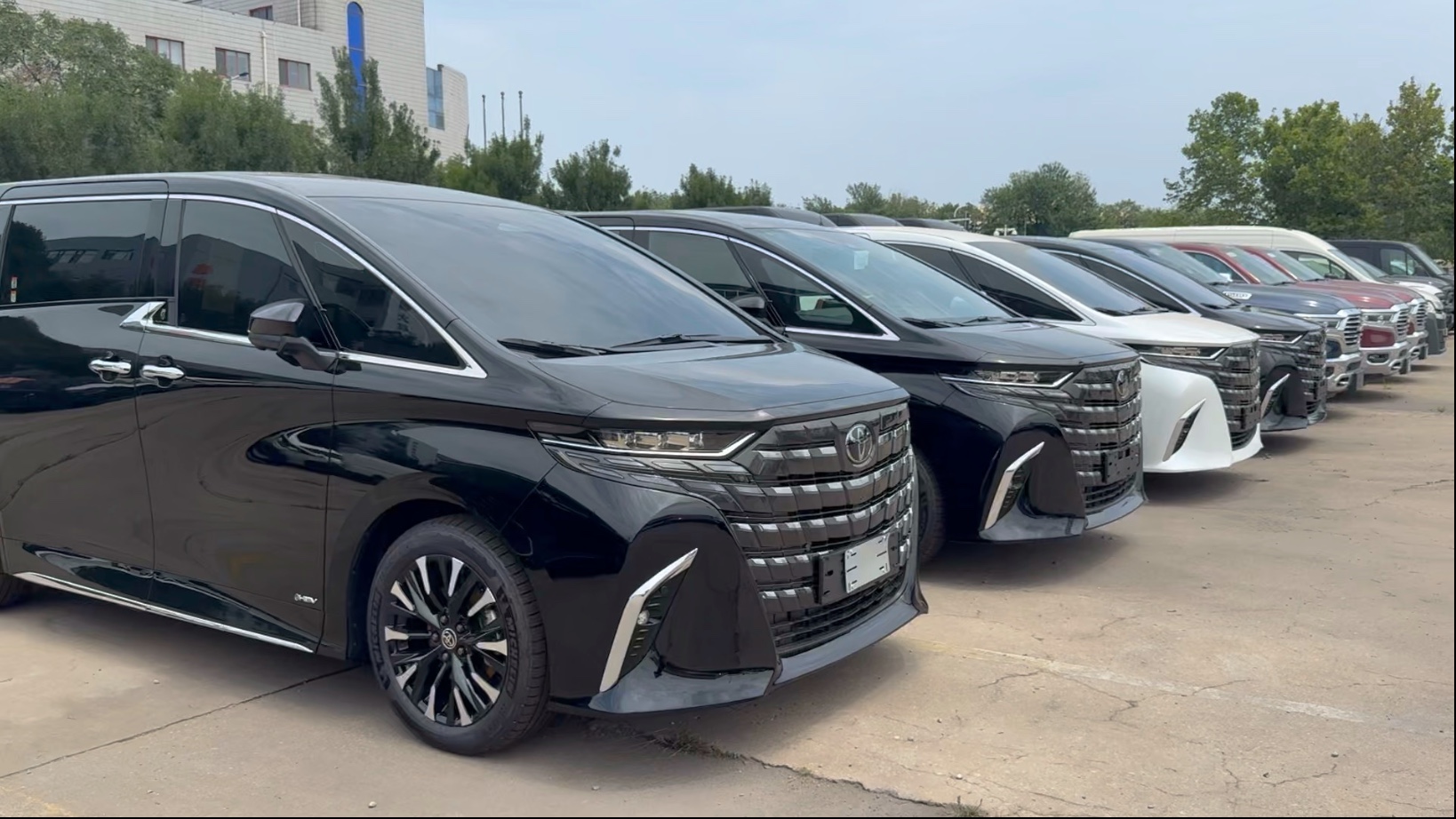 2025埃尔法亚洲版限时优惠16万