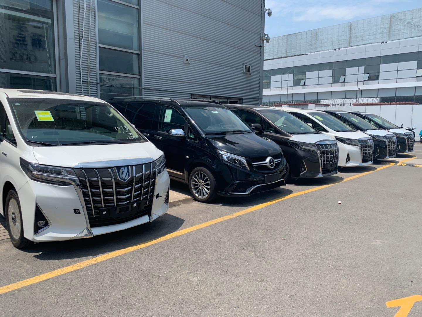 肉感饱满,全新威尔法亮相