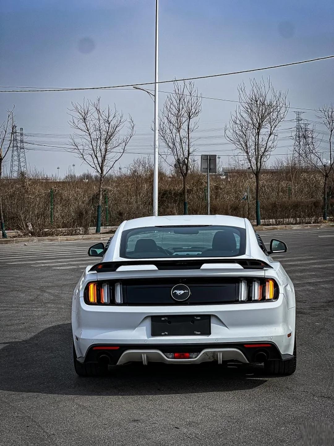 成都福特野马加版让利直降17万